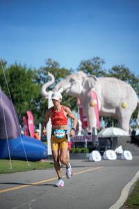 BIB: 
                            <button type="button" onclick="openModal(26543649)" class="btn btn-primary btn-sm float-right btn-popup" data-toggle="modal" data-target=".modal-high-quality">
                        <i class="fas fa-shopping-cart"></i> Add to Cart
                    </button>
                                            <button type="button" onclick="isThisMe(26543649, true)" class="btn btn-success btn-sm float-right btn-popup btn-isme hidden" data-toggle="tooltip" data-placement="bottom" title="นี่คือรูปของคุณใช่ไหม คลิกที่นี่เพื่อเอาเข้าอัลบั้ม">
                        <i class="fas fa-plus"></i> Add to album
                    </button>
                    <button type="button" onclick="isThisMe(26543649, false)" class="btn btn-warning btn-sm float-right btn-popup btn-isnotme hidden">
                        <i class="fas fa-ban"></i> Remove from album
                    </button>